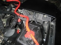 IMG_2949.jpg