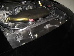 IMG_9516.jpg