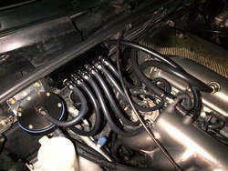 IMG-20130315-00185_zps49bf5e23.jpg
