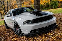 mustang5_zpsf359d8d4.jpg
