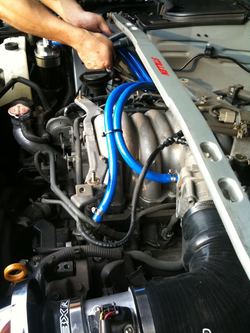 812f77b5.jpg