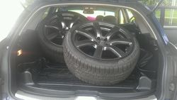 d036288a-3429-0cc1.jpg