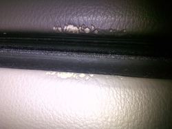 IMG-20110221-00141.jpg