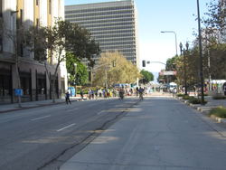 7336289e.jpg