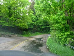 IMG_1880_1.jpg