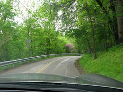 IMG_1890_1.jpg