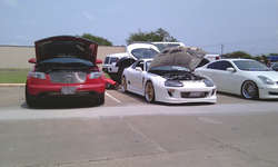 IMAG0331.jpg