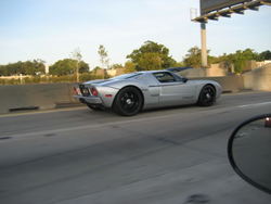 IMG_3259.jpg