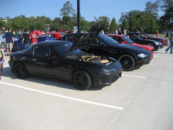 IMG_3270.jpg