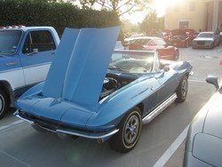 IMG_9358.jpg