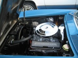 IMG_9359.jpg