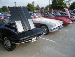 IMG_9355.jpg