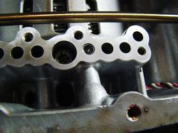 DSC02443.jpg