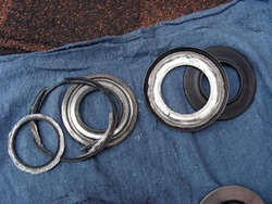 DSCN7555.jpg