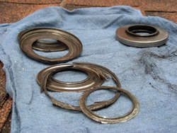 DSCN7557.jpg