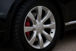 IMG_8088small.jpg IMG_8088small.jpg