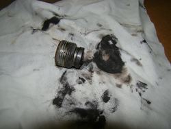 DSC07449s.jpg DSC07449s.jpg