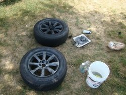 DSC00022s.jpg DSC00022s.jpg