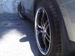 IMG00287-20110502-1549.jpg