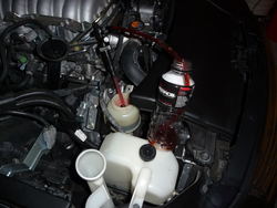 P1050037.jpg P1050037.jpg