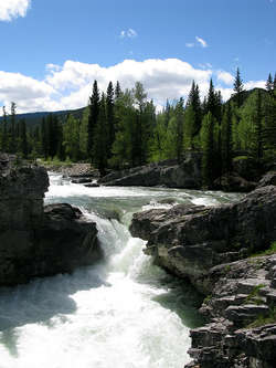 IMG_2545_1.jpg