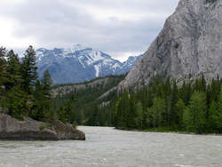 IMG_2479_1.jpg