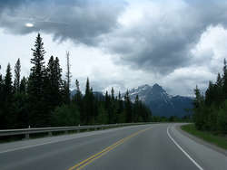 IMG_2427_1.jpg