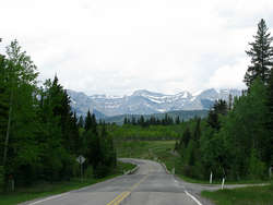 IMG_2390_1.jpg