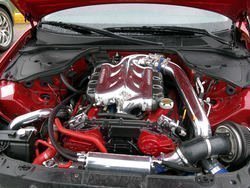 IMG_2631_1.jpg
