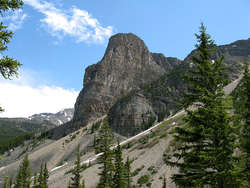 IMG_2970_1.jpg