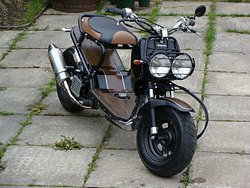 woodgrain-ruckus.jpg