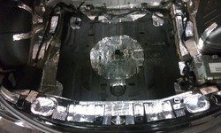 fx_trunk_bquite4.jpg fx_trunk_bquite4.jpg