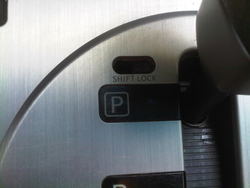 IMG-20110616-00073.jpg