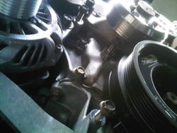 IMG-20110623-00044.jpg