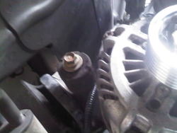 IMG-20110623-00043.jpg