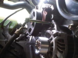 IMG-20110623-00041.jpg