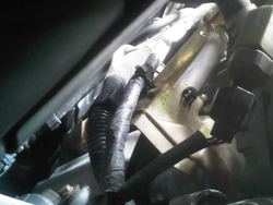 IMG-20110623-00046.jpg