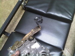 IMG-20110623-00033.jpg