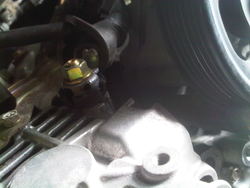 IMG-20110623-00032.jpg