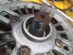 IMG-20110623-00038.jpg