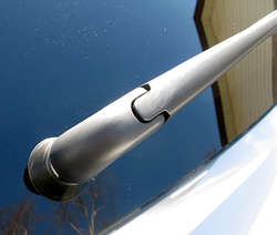 IMG_1233_1.jpg