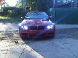 IMG01141-20101103-1703.jpg