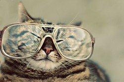 silly-trying+on+someone+elses+glasses.jpg