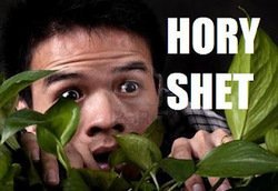 10865896-an-asian-man-is-suprised-and-scared-as-he-looks-through-a-jungle-plant.jpg