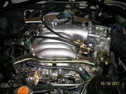 100_0495.jpg 100_0495.jpg