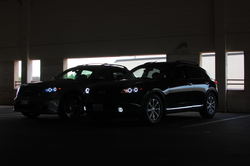 DSC_5536.jpg
