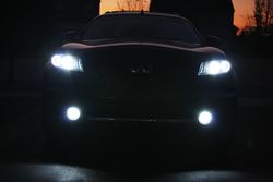 IMG_6924s.jpg