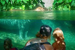 20100813_042-a.jpg