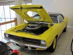 IMG_1983_1.jpg