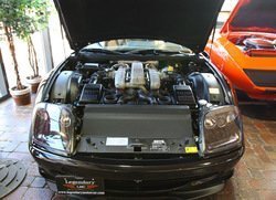 111211_LMC_0030.JPG